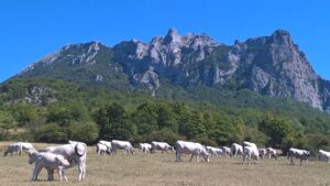 Sommet du Pic de Bugarach dans l'Aude.